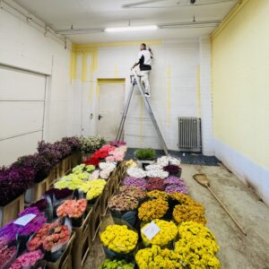 Referenz Malerarbeiten Mannheim